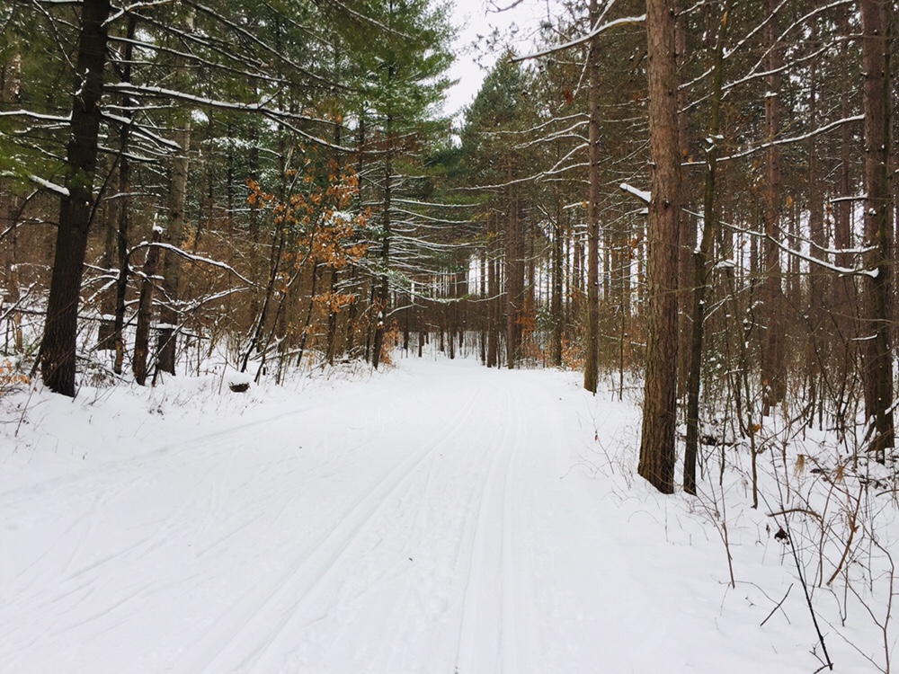 Skiing the Brown County Parks